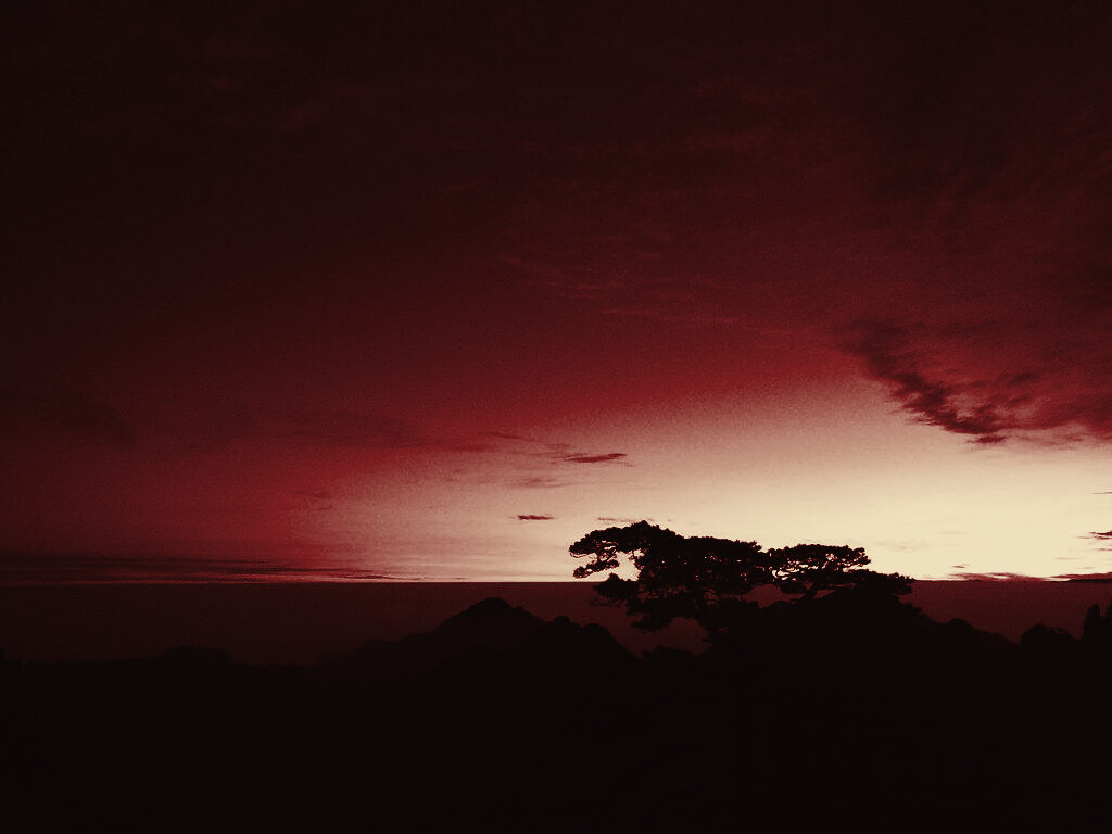 Pines and granite peaks above a sea of clouds in Huangshan, duotone film still