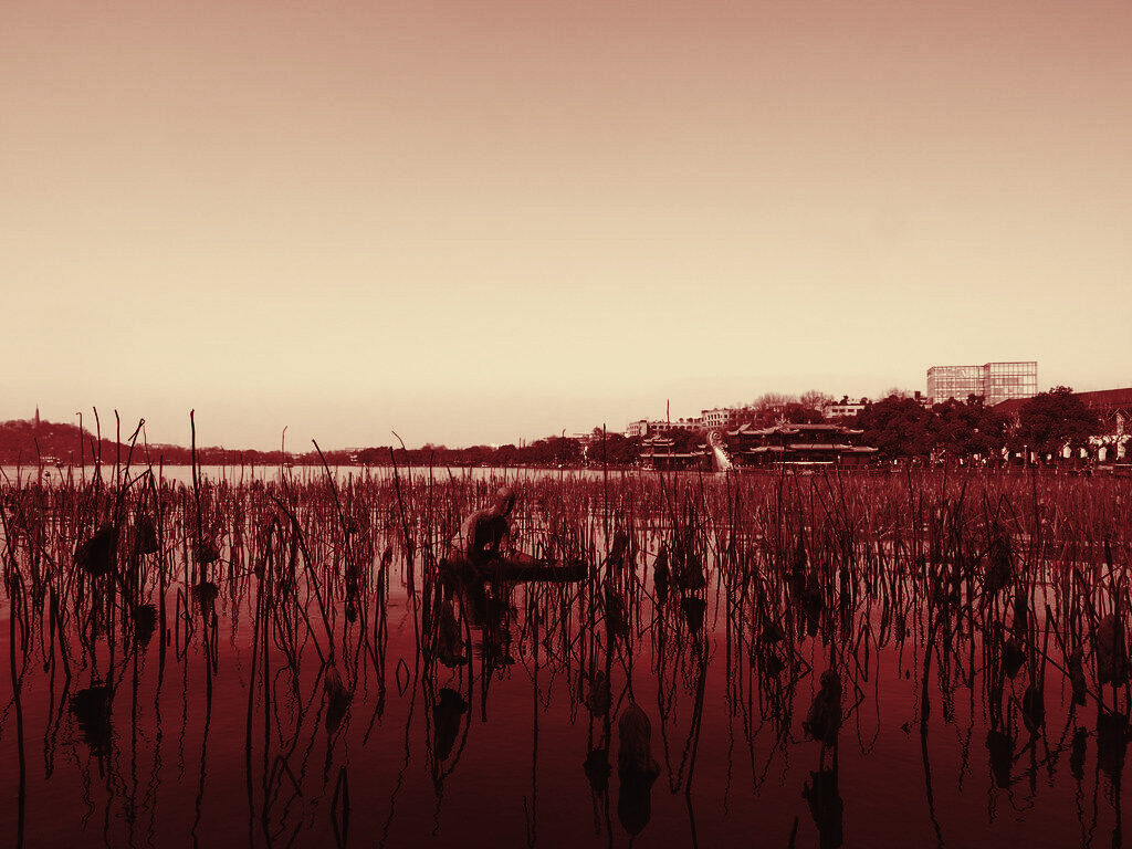 Leifeng Pagoda reflected in West Lake, Hangzhou, in duotone grade